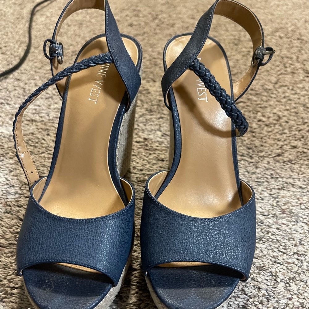 Blue Wedges
